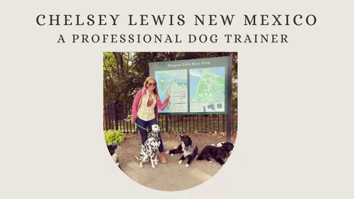 chelsey lewis new mexico a professional