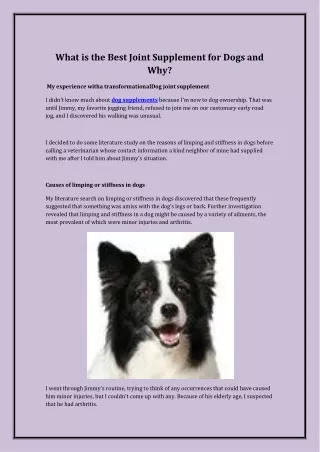 What is the Best Joint Supplement for Dogs and Why