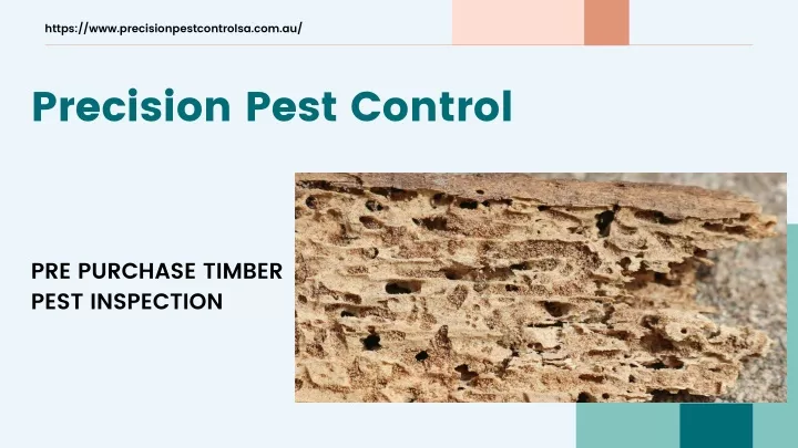 https www precisionpestcontrolsa com au