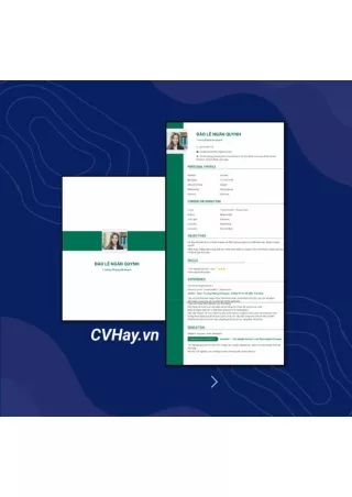CVHay_Trưởng Phòng Kế Toán