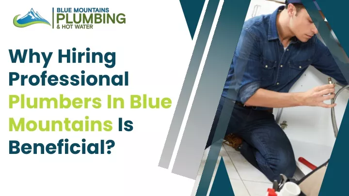 why hiring professional plumbers in blue