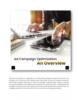 Ad campaign optimization_ an overview