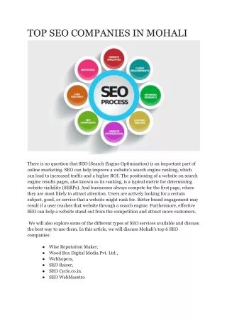 Top Best Seo Company in Mohali
