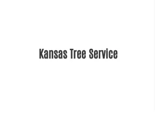 Kansas Tree Service