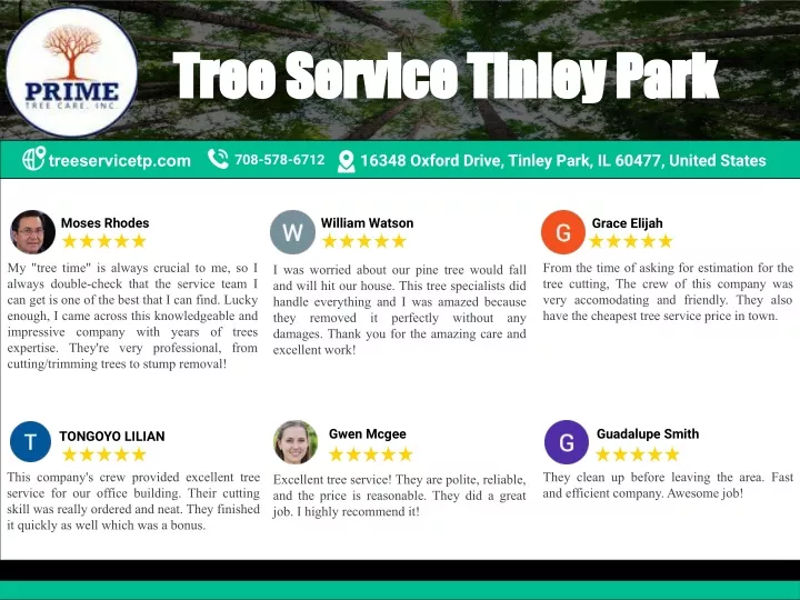 tree service tinley park tree service tinley park