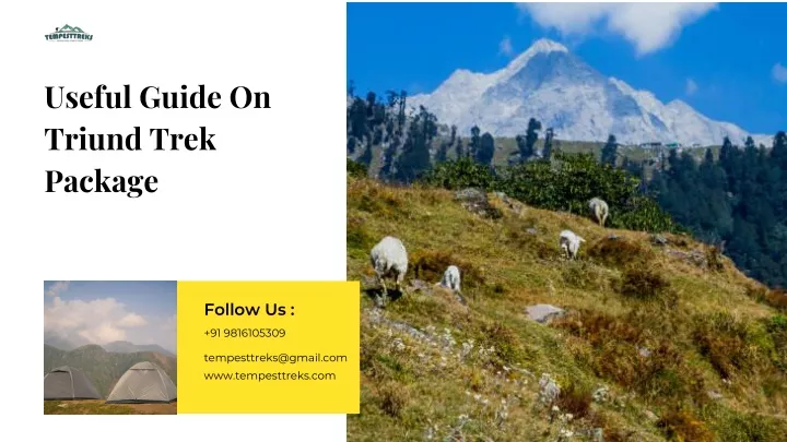 useful guide on triund trek package