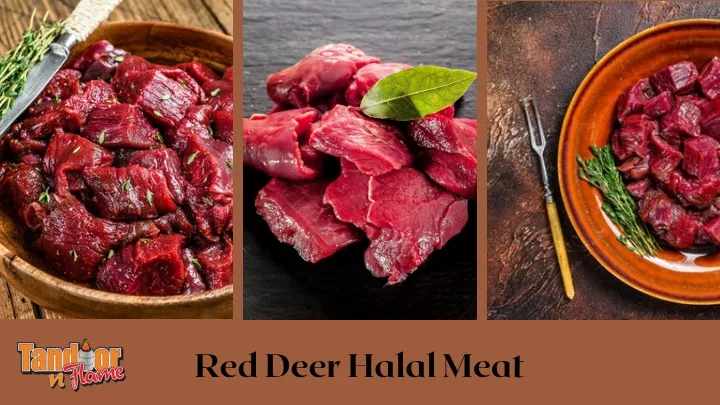 red deer halal meat