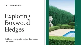 Boxwood hedges: Creating Aestheic Value