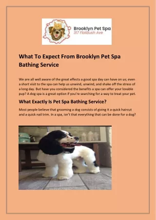 Get The Pet Grooming Service At Brooklyn Pet Spa