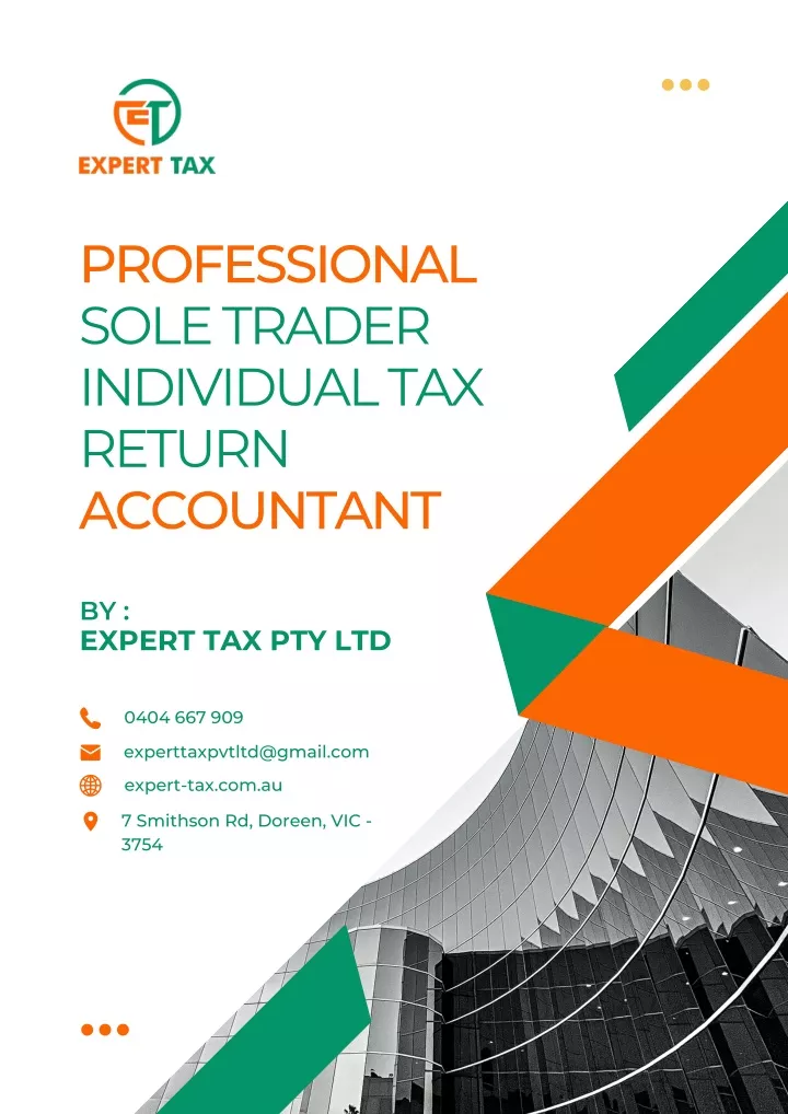 professional sole trader individual tax return