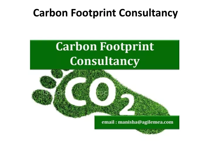 carbon footprint consultancy