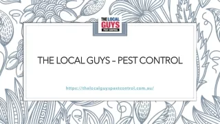 Termite Protection Adelaide | Thelocalguyspestcontrol.com.au
