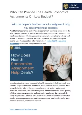 who can provide the health economics assignments
