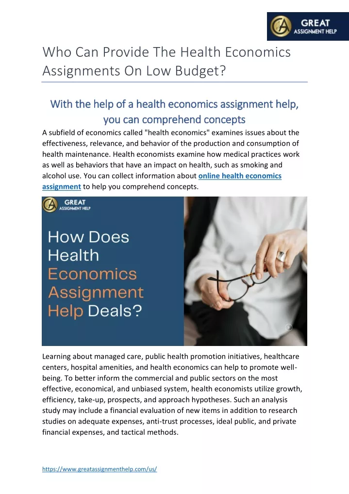 who can provide the health economics assignments