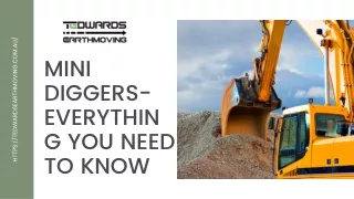 Mini Diggers- Everything You Need To Know