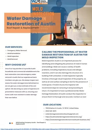 Calling the professionals at Water Damage Restoration of Austin for mold inspect