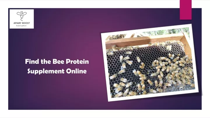 find the bee protein supplement online