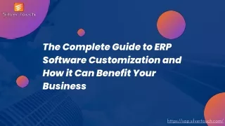 ERP Software Customization and How it Can Help Your Business