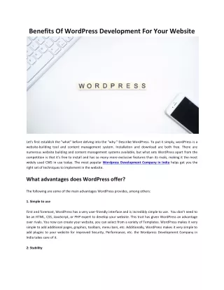 Custom WordPress development service in India