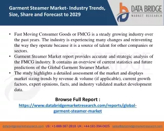 garment steamer market industry trends size share