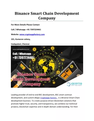 binance smart chain development company