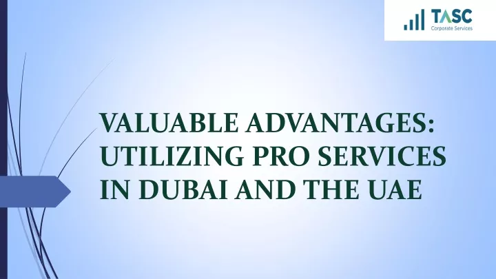 valuable advantages utilizing pro services in dubai and the uae
