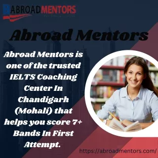 Abroad Mentors