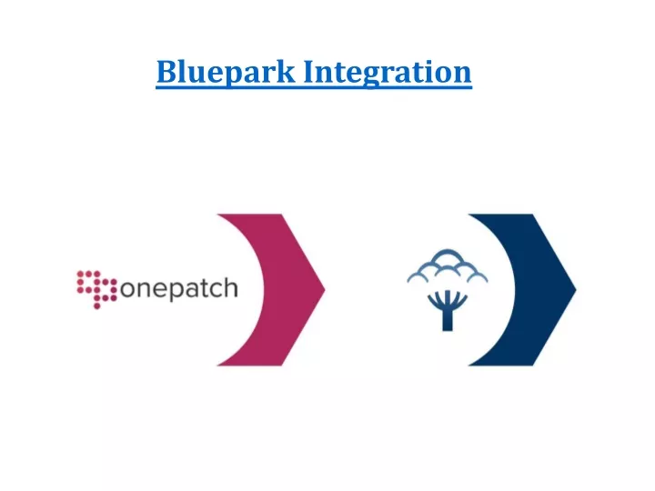 b luepark integration