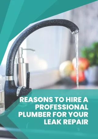 Reasons to Hire a Professional Plumber for Your Leak Repair