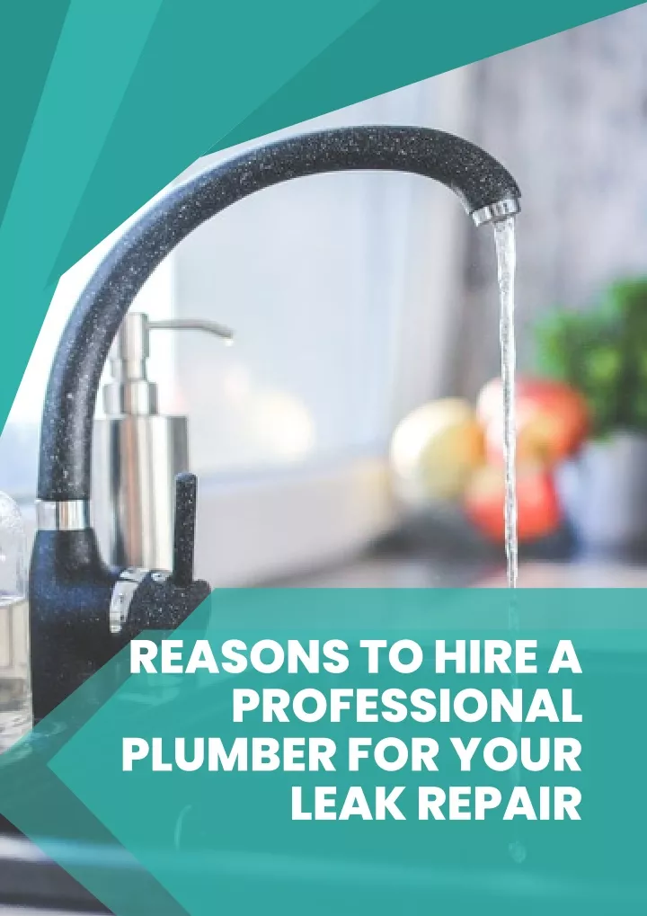 reasons to hire a professional plumber for your