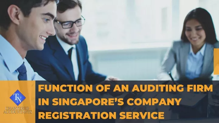 function of an auditing firm in singapore