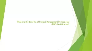 What are the Benefits of Project Management Professional