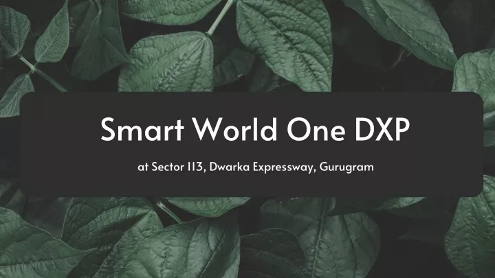 smart world one dxp