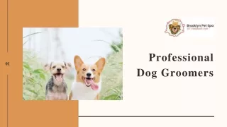 Key Advantages of Professional Dog Groomers in Brooklyn!