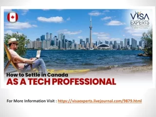 for more information visit https visaexperts