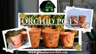Buy Top Quality Orchid Pots for your Healthier Plants - Green Barn Orchid