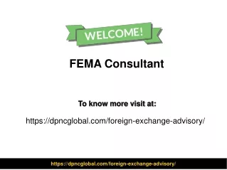 fema consultant
