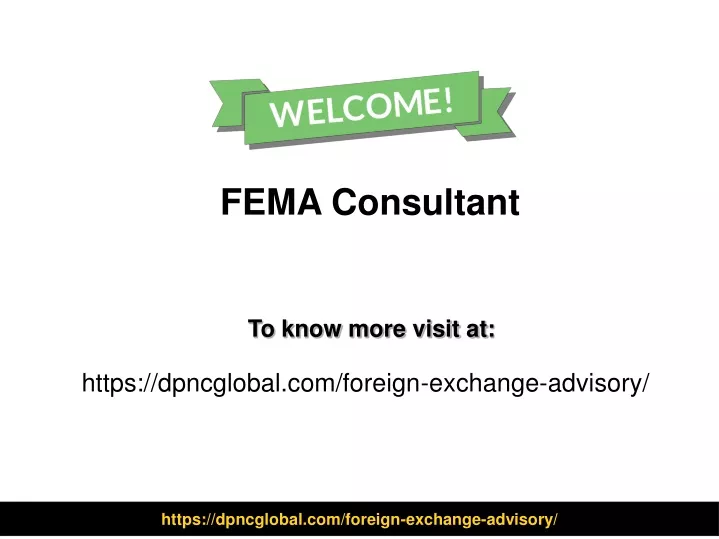 fema consultant