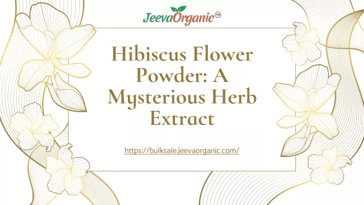 hibiscus flower powder a mysterious herb extract