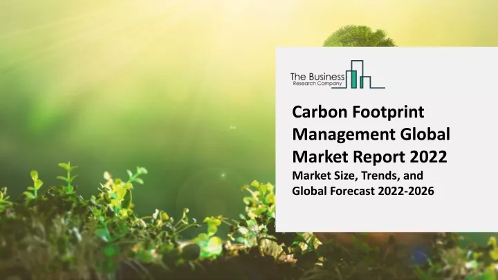 carbon footprint management global market report