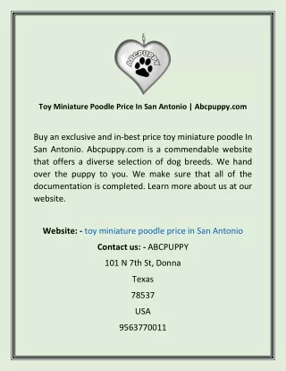 Toy Miniature Poodle Price In San Antonio  Abcpuppy