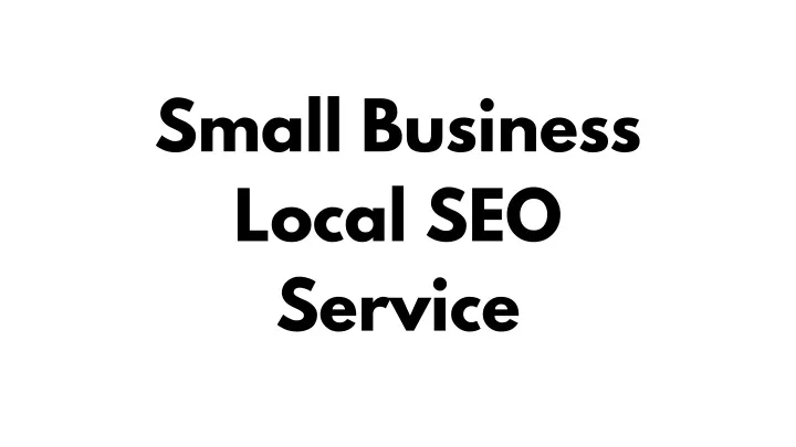 small business local seo service