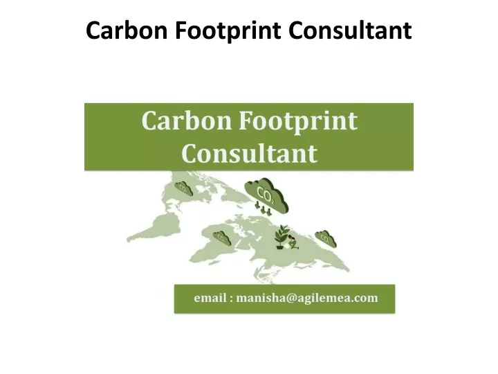carbon footprint consultant