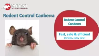 rodent control canberra