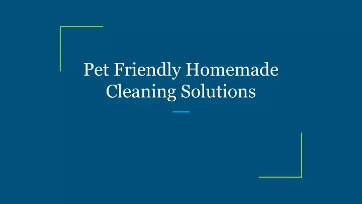 pet friendly homemade cleaning solutions