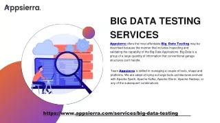 Big data testing services