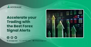 Accelerate your Trading with the Best Forex Trading Alerts