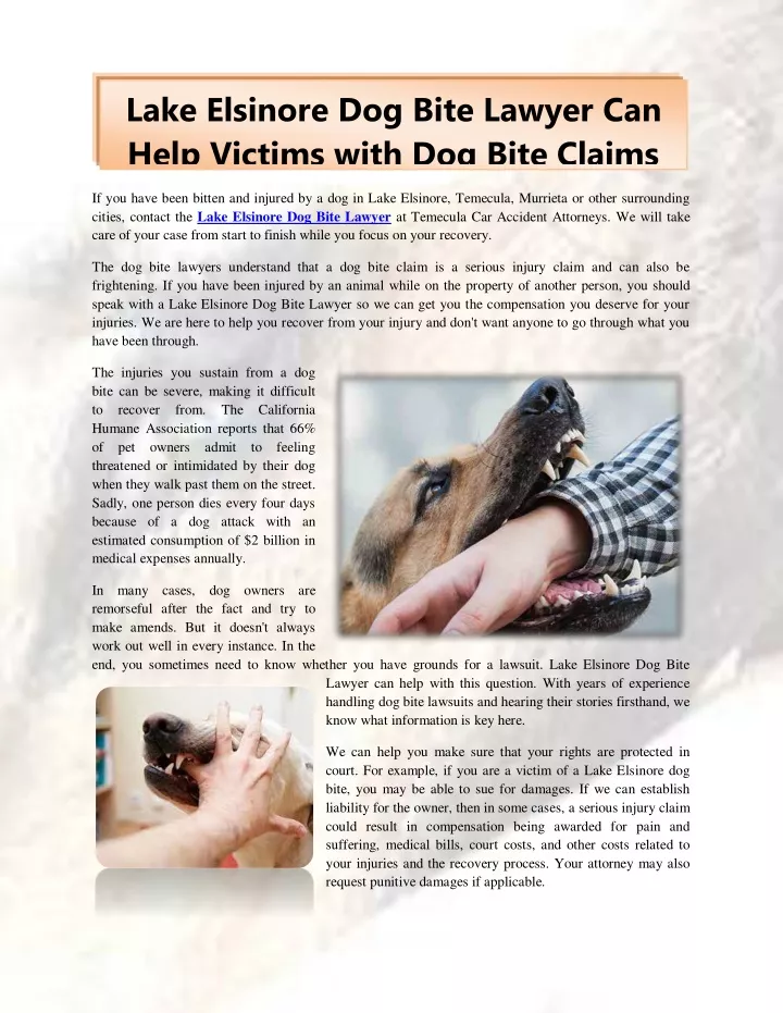 lake elsinore dog bite lawyer can help victims