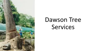 Affordable Tree Removal Services in Melbourne