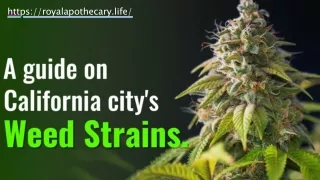 A Guide on California City’s Weed Strains
